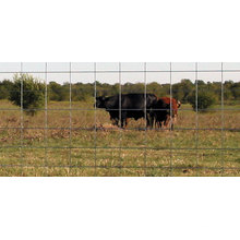 strong high quality cheap wire mesh cattle fence